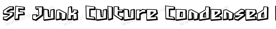 SF Junk Culture Condensed Oblique字体转换